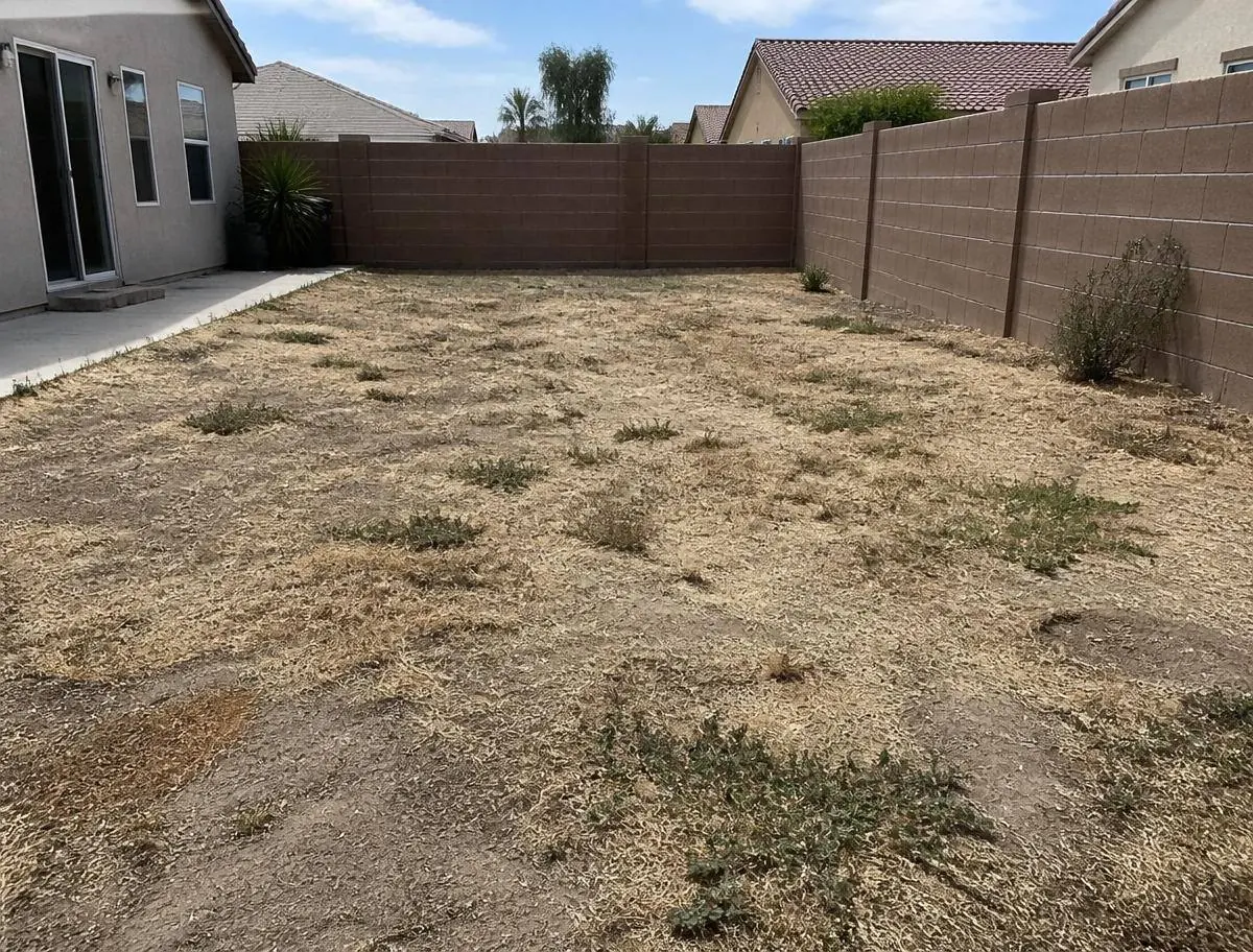Before backyard turf replacement in riverside, ca — dead patchy lawn