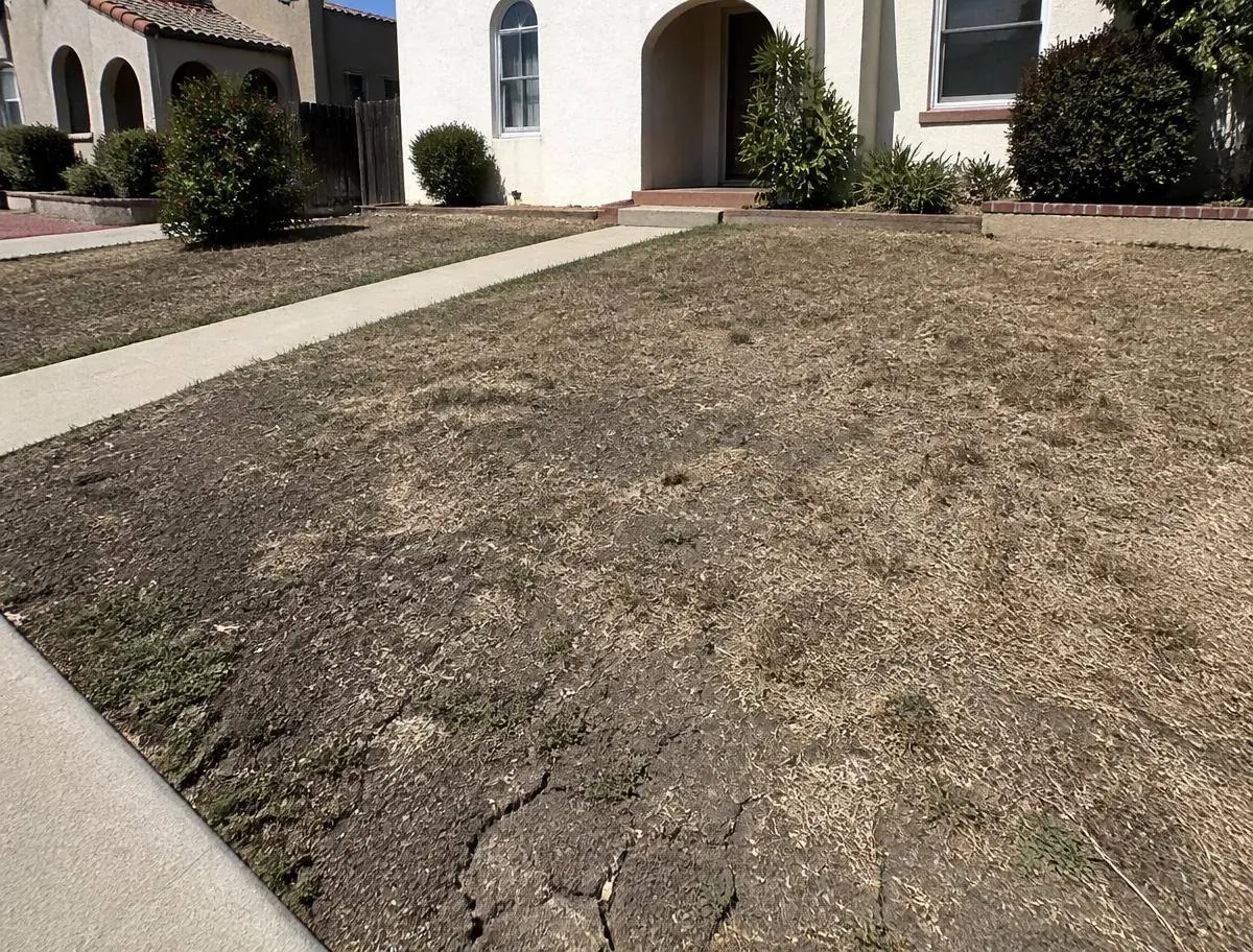 Before front yard artificial grass installation in riverside, ca — dead patchy lawn